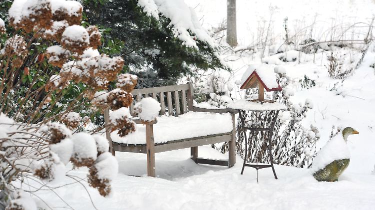 Schneelast im Garten: Abschütteln ja, aber bitte richtig