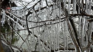 Tutzing, Starnberger See