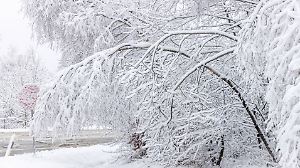 Schneefälle im Taunus