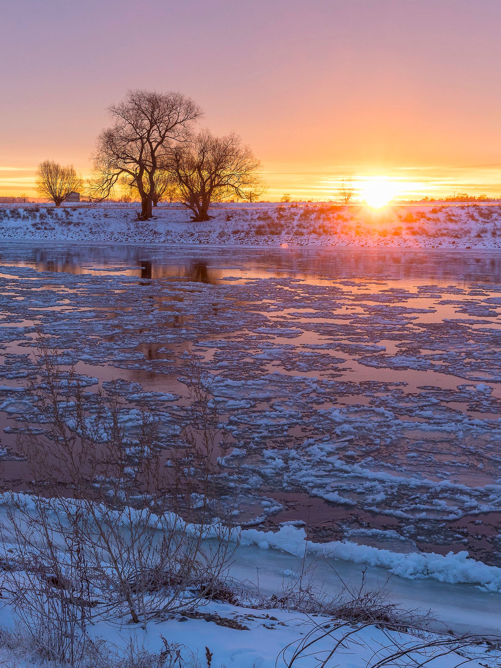 kalter Wintermorgen an der Elbe mit schwimmenden Eisschollen, Schnee und Morgenrot bei Sonnenaufgang, Kötzschenbroda, Ra