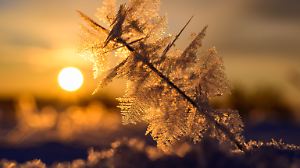 Eisiger Wintermorgen in Brandenburg