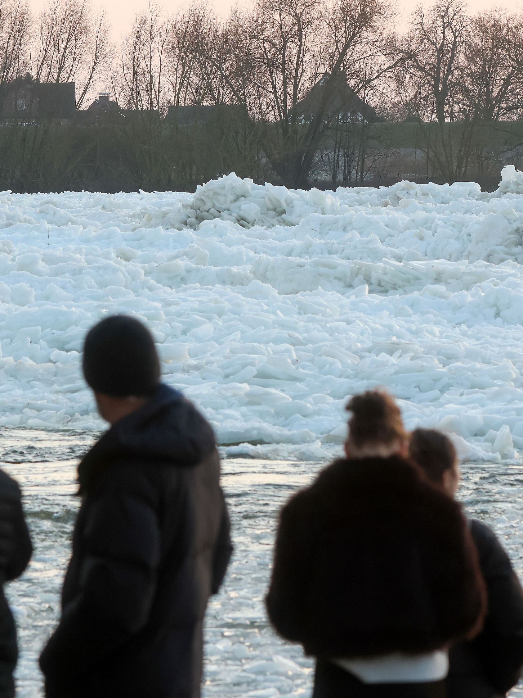 Eisschollen auf der Elbe