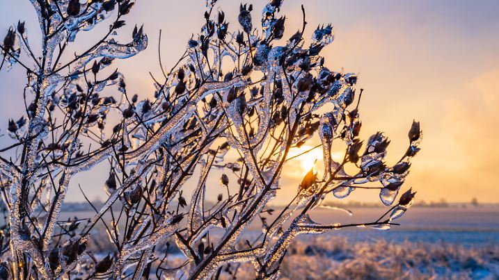 Winterwetter in Brandenburg