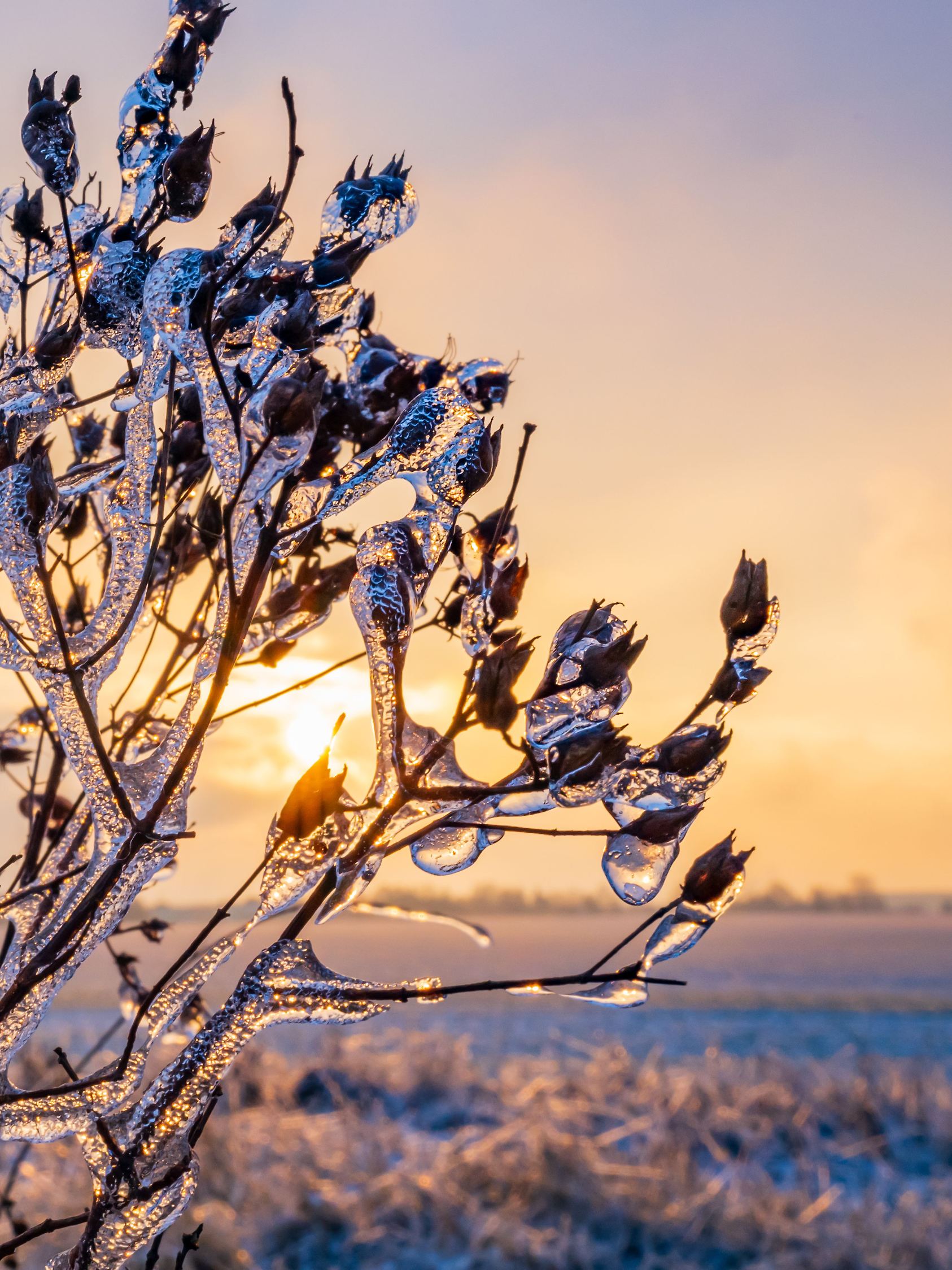 Winterwetter in Brandenburg