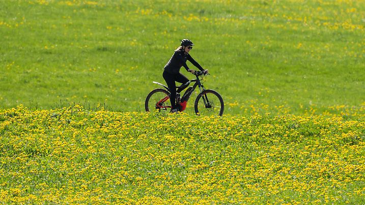 Eine Frau fährt bei Sonnenschein auf einem Feldweg mit ihrem Fahrrad, neben dem links und rechts Löwenzahn blüht. Rottwe