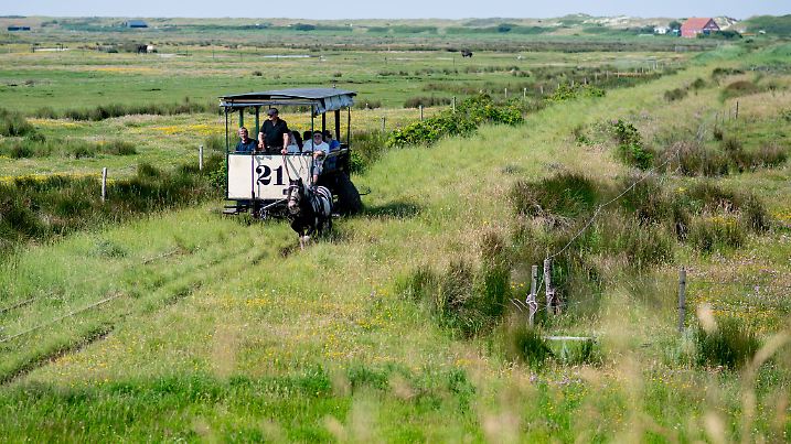 Sommerwetter auf Spiekeroog