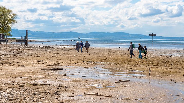 Durch Trockenheit freigelegte Uferzone am Bodensee, Spaziergänger, Wasserburg, 21. April 2025