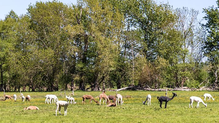 Wetter in Südbrandenburg