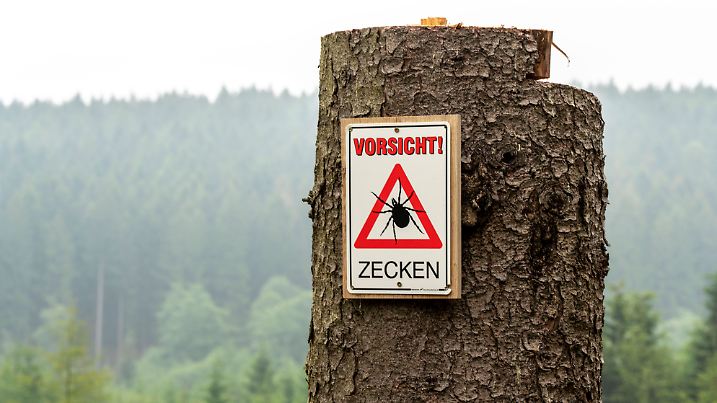 Warnhinweis auf Zecken, im Arnsberger Wald, bei Hirschberg, Sauerland, NRW, Deutschland, Zeckengefahr *** Warning sign f