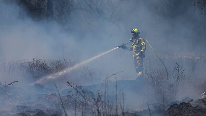 Wildfires In Israel Continue In 11 Locations.