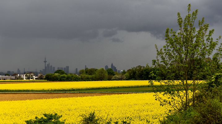 Regen in Aussicht