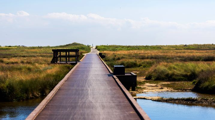 the nature and sea of the german island of borkum the nature and sea of the german island of borkum Copyright: xZoonar.c