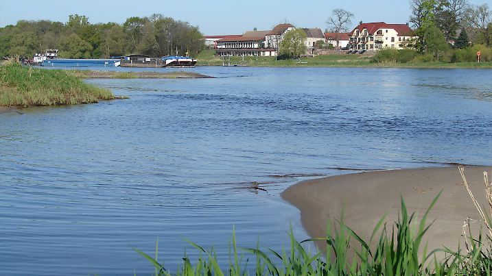 Entspanntes Radeln an der Elbe