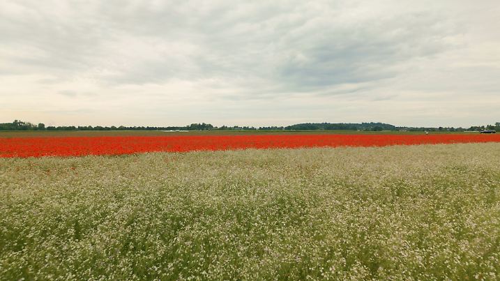 Am Donnerstag bleibt es bei unter 20 Grad