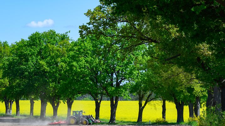 Sonniges Wetter in Brandenburg