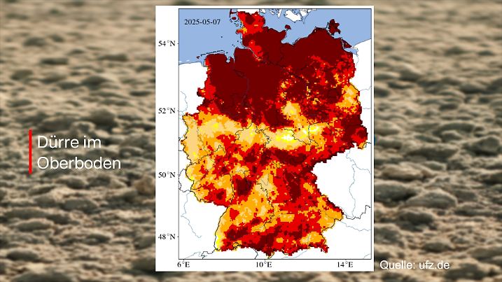 Besonders im Norden sind die Böden viel zu trocken.