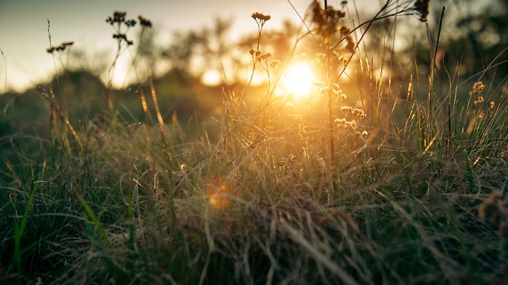 Klare Nacht, Bodenfrost und dann viel Sonne bei bis zu 23 Grad am Samstag