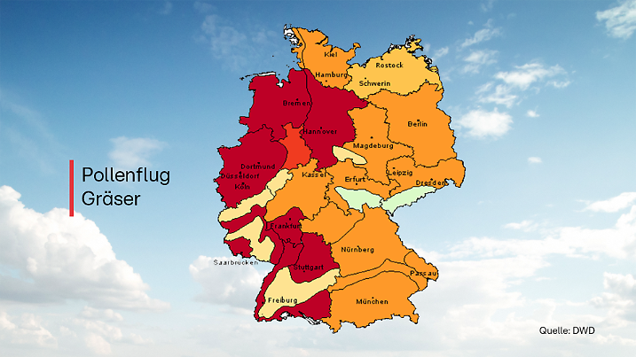 Die Pollenkarte zeigt der Gefahrenindex für Gräserpollen am Sonntag, den 11. Mai 2025.