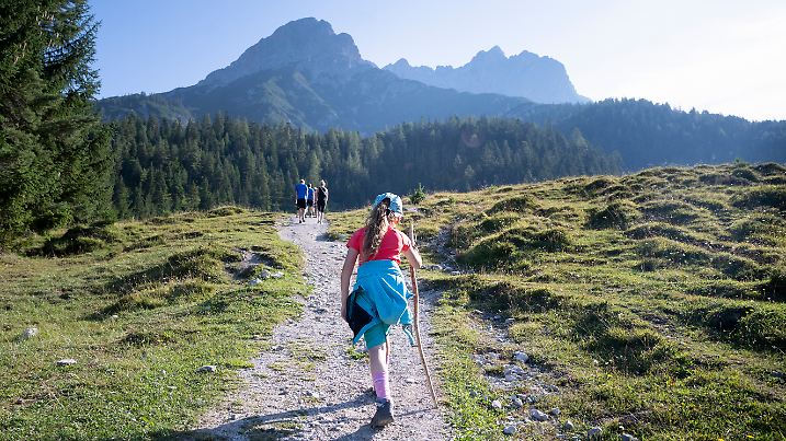 Wandern in den Waeldern Oesterreichs