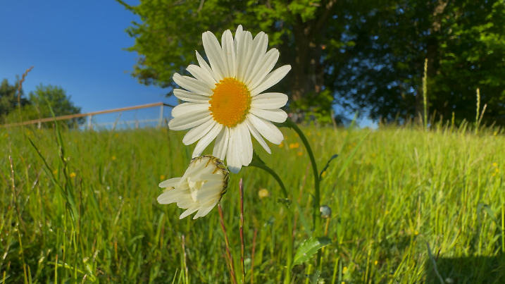 Von frostiger Nachtstille bis zu fast sommerlichen 27 Grad im Südwesten – der Mittwoch serviert das Wetter im Mixmodus.