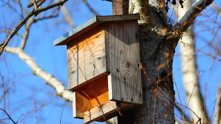 Holzhaus für Fledermäuse