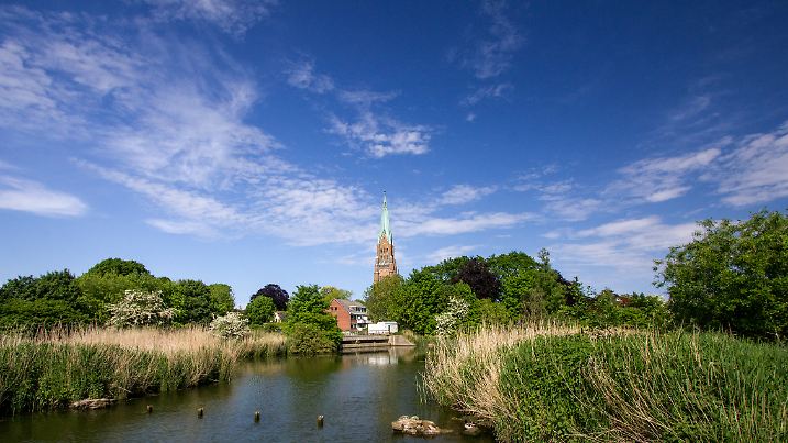 Wandern an der Schlei: Zwischen Schilf und Segeln blitzt der Schleswiger Dom auf – dazu romantisches Wasser, Ruhe und Romantik sind hier inbegriffen.