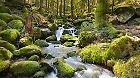 Zwischen Schwarzwald, Ostsee, Schwäbischer Alb und Mosel