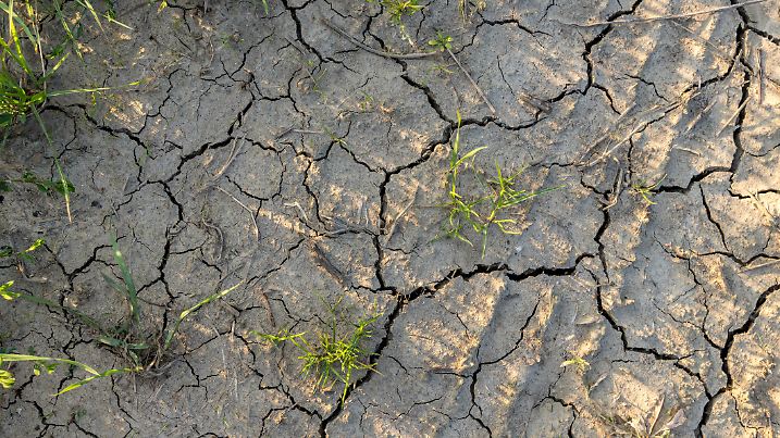 Trockener Boden