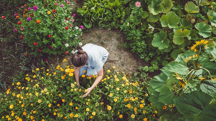 Gartenarbeit im Sommer von oben
