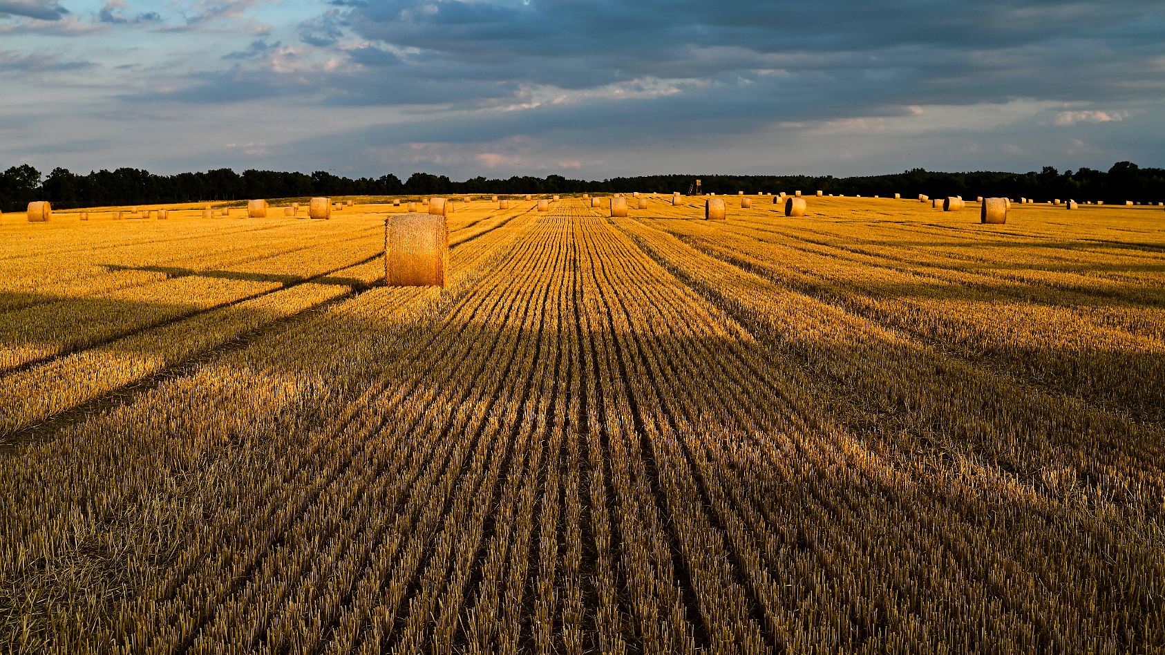 42TageWettertrend Hitze, aber auch Regen bis Juli in Deutschland