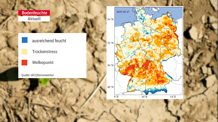 Besonders im Norden leidet der Boden unter extremer Dürre. Erste Ernten wackeln. Die Daten im Überblick.