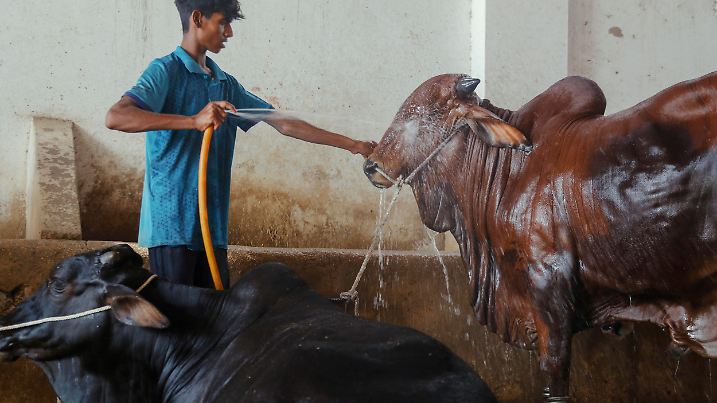 Hot Days Continue In Hyderabad Pakistan