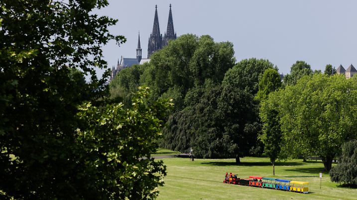 Sonne in Köln - Wetter