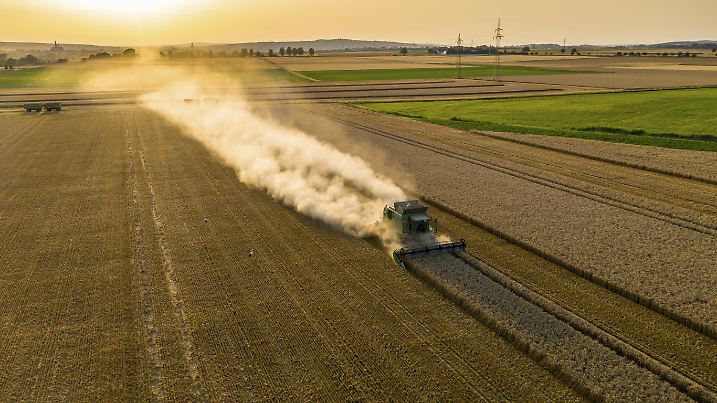 Mähdrescher fährt über ein trockenes Feld, viel Staub