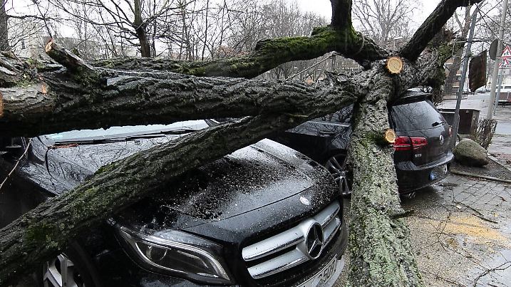 Hannover, Sturm, Orkan Sabine, Sturmschaden, Baum auf PKW, Auto, in der Neckarstraße, , *** Hannover, storm, hurricane