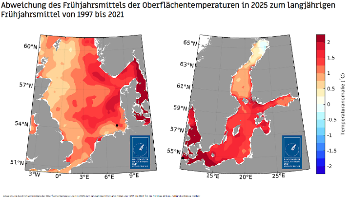 Wasser im Frühling viel zu warm 