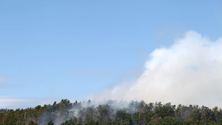 Waldbrand in Wendelstein , Zahlreiche Feuerwehr im Einsatz , in Wendelstein , Bayern , Deutschland . Juni 24, 2025 . Pho