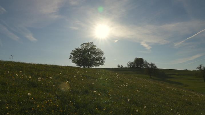 Sonnenschein über einer Wiese in Deutschland
