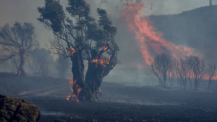 Firefighting efforts continue in the maquis shrubland of Izmir