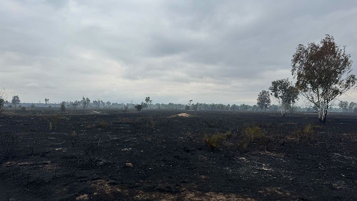 Waldbrand in Gohrischheide SetX