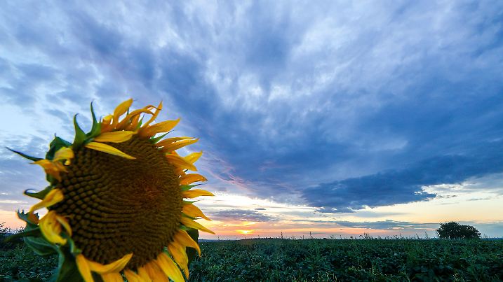 Wetter in Baden-Württemberg