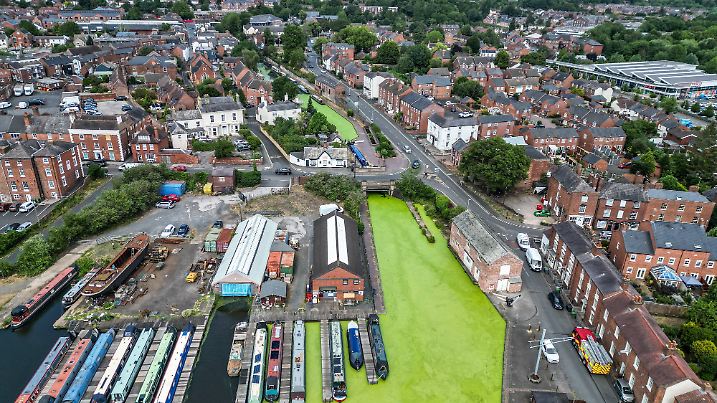 Shrek lass nach: Die schlagartige Vermehrung der Wasserlinsen verwandelt das  Staffordshire-Worcestershire-Kanalsystem in den Midlands in einen leuchtend grünen Sumpf