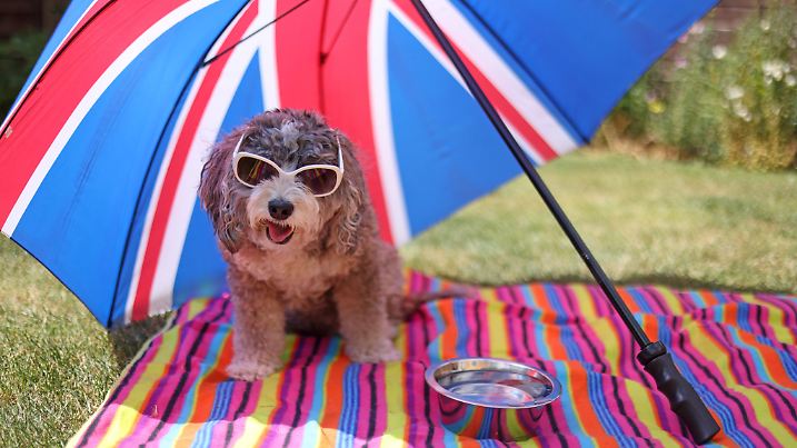 Weather, Peterborough, Cambridgeshire, on 28th June, 2025.