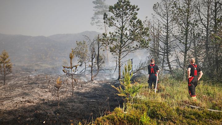 Waldbrand in Dänemark
