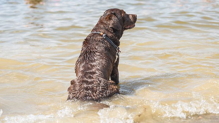 Sommerwetter in Thüringen