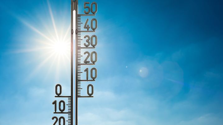 Schon bei gemäßigt warmen Temperaturen wird das Auto schnell zur Todesfalle.