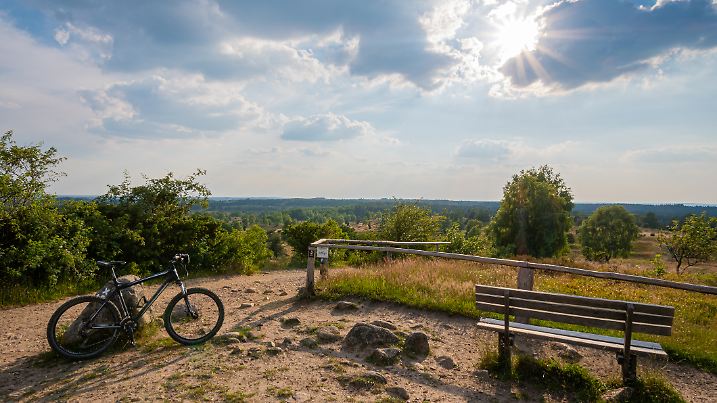 A mountain bike stands on a summer day on the summit of the Wilseder Berg in the Lüneburg Heath