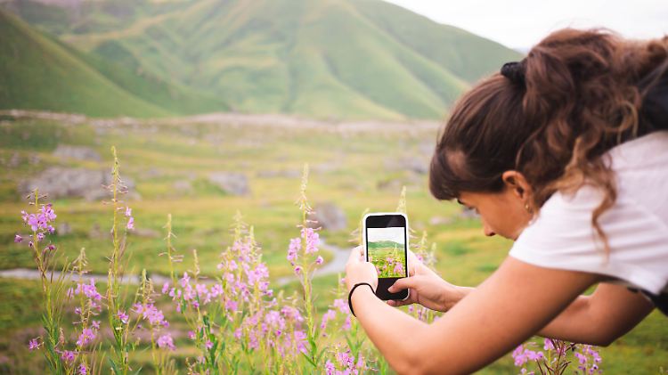 Blumen-App spürt Folgen des Klimawandels auf