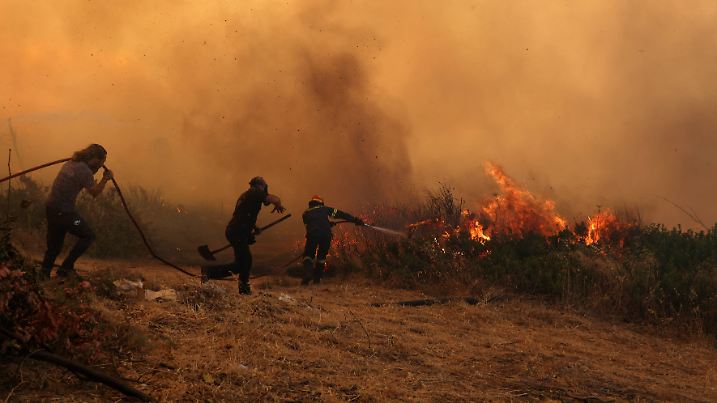 Waldbrand in Krioneri bei Athen