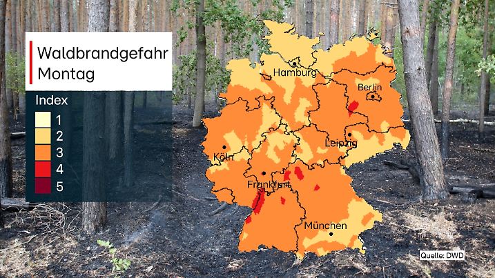 Schon ab Montag ist die Waldbrandgefahr teilweise wieder stark erhöht.